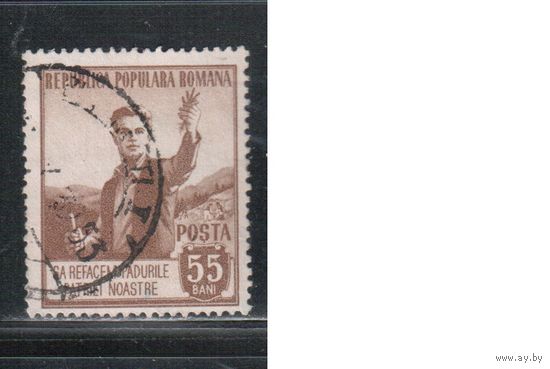 Румыния-1953, (Мих.1441) гаш.  , Мелиорация