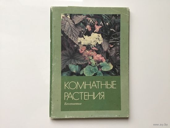 Фото А. Терзиева.	"Комнатные растения. Бегониевые".  16 открыток-фото. 150х100 мм.