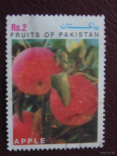 Пакистан.  Яблоки.