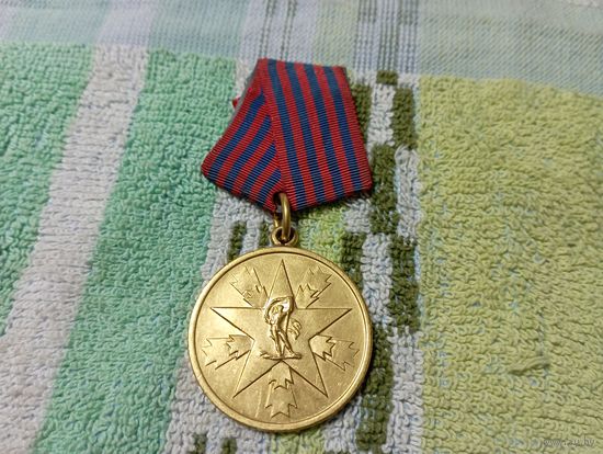 Медаль " За заслуги перед народом" 23