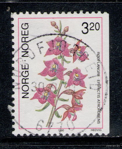 Марка Норвегия 1990 флора