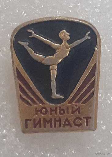 Значок Юный Гимнаст. СССР