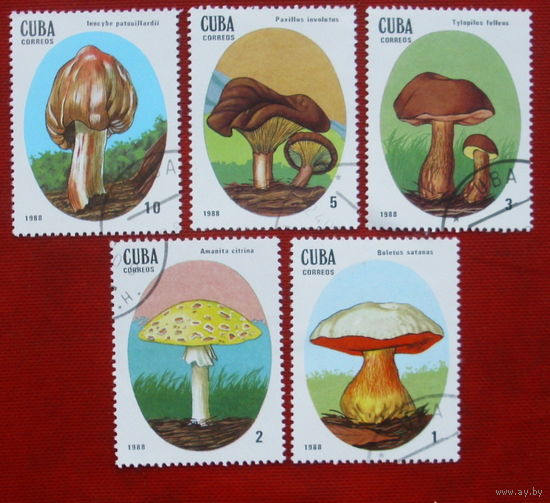 Куба. Грибы. ( 5 марок ) 1988 года. 4-18.