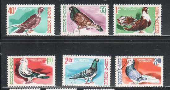 Румыния-1981, (Мих.3777-3780) гаш.  , Фауна, Птицы (полная серия)