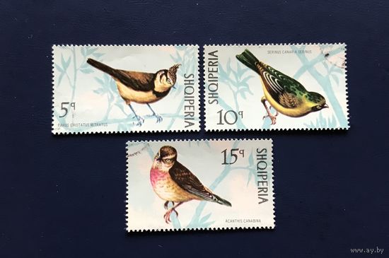 Албания 1971 год Фауна Птицы Серия 3 марки Mi:1492-1494 Гашеные