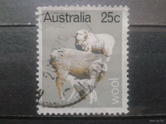 Австралия 1969 овцы