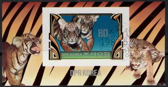 Корея /КНДР/1982/ Семейство Кошачих / Хищники / Тигры /Тигрята / Блок Б/З
