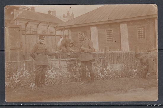 Военные Униформа Лошади Армия 1927 Латвия Почтовая Карточка Фотооткрытка Открытка Фото 1 шт
