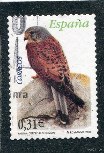 Испания. Птица