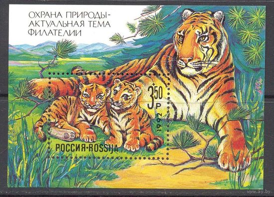 Россия Фауна тигр