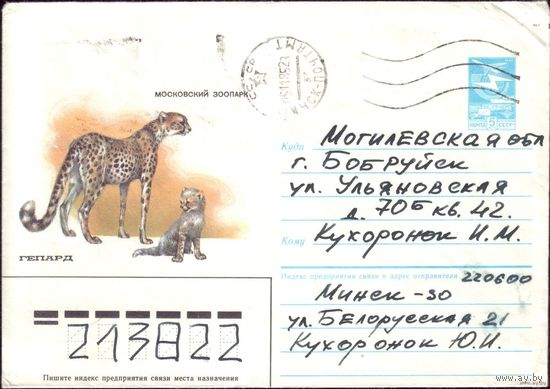 1985 год А.Исаков Гепард 6 85-42