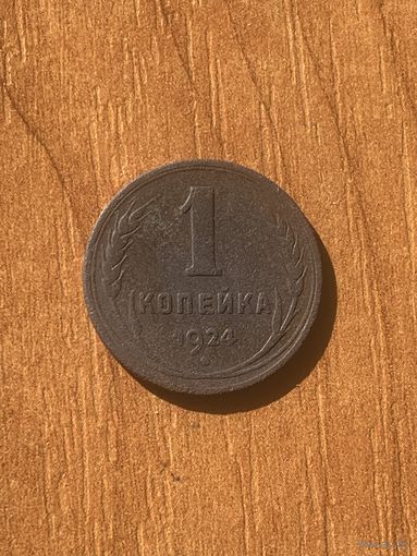 1 копейка 1924 (21)