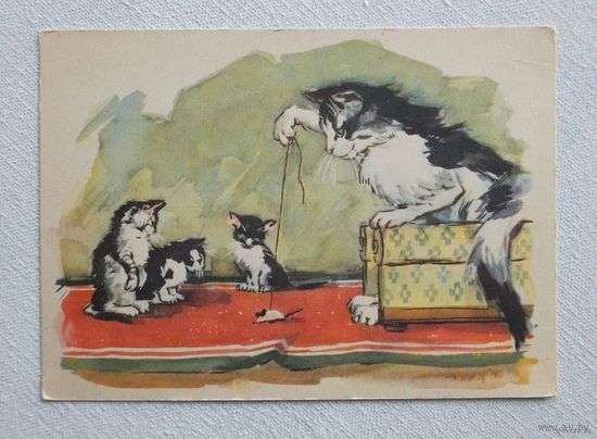 Северин Чернухо кошки мышки 1956