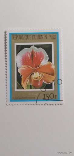Бенин 1999. Орхидеи