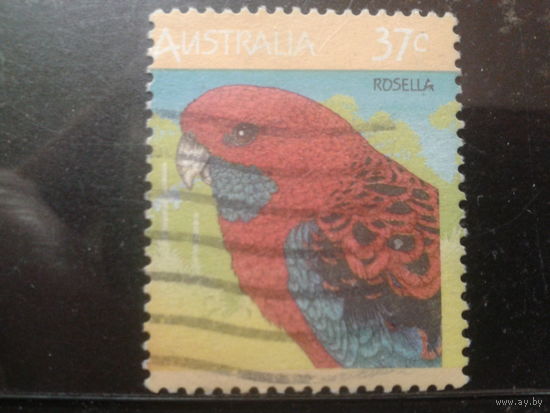 Австралия 1987 Попугай
