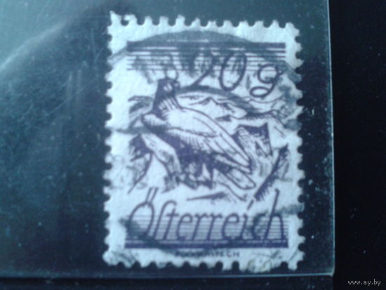Австрия 1925 Стандарт, птица 20 грошей