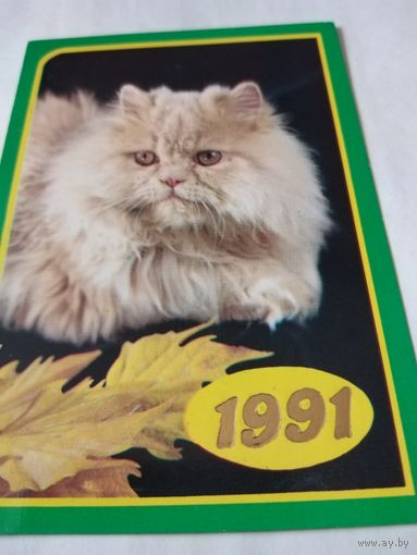 Календарик 1991г.
