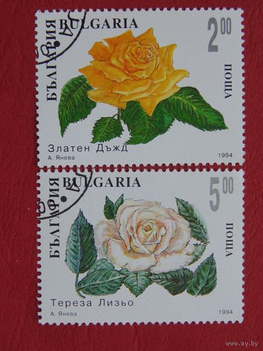 Болгария 1994 г. Цветы. Розы.