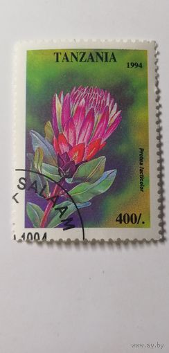 Танзания 1994. Цветы