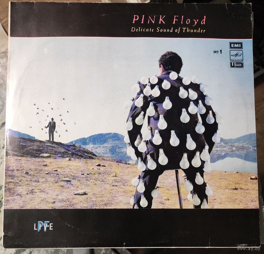 Pink Floyd 	"Delicate sound of thunder" 1 LP