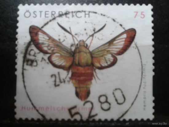 Австрия 2008 Стандарт, ночная бабочка Михель-2,0 евро гаш