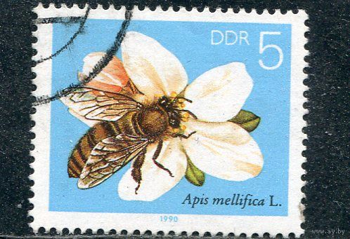 ГДР. Фауна. Пчела