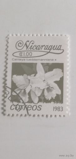 Никарагуа 1983. Цветы