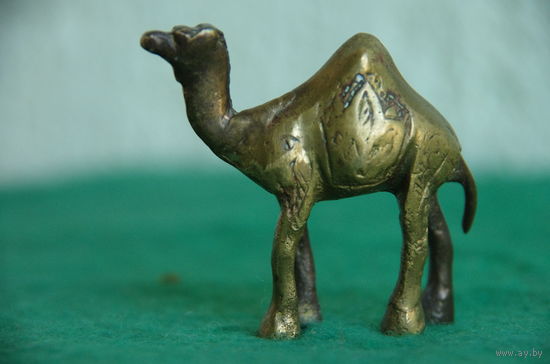 Статуэтка бронзовая  " Верблюд "