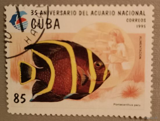 Рыбка. Куба, 1995