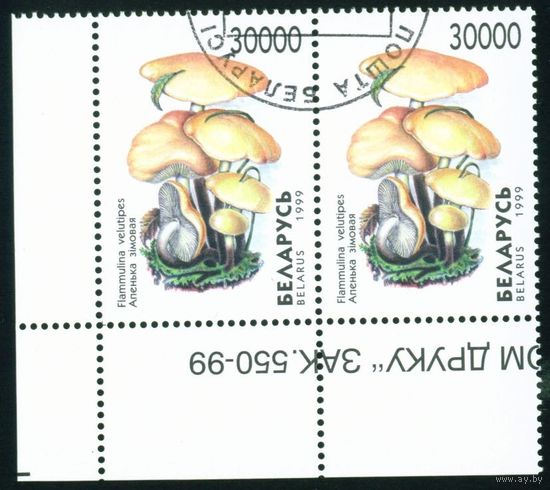 Грибы Беларусь 1999 год (341) сцепка из 2-х марок
