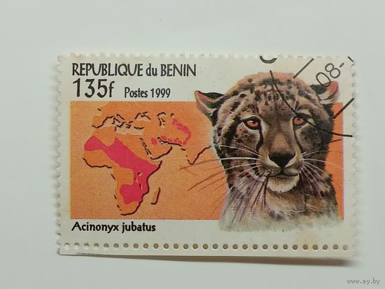 Бенин 1999. Большие кошки. Гепард