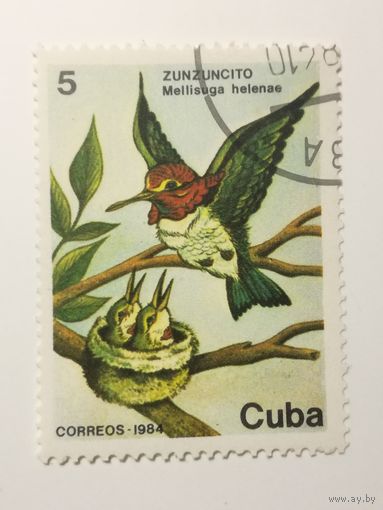 Куба 1984. Дикая природа Кубы