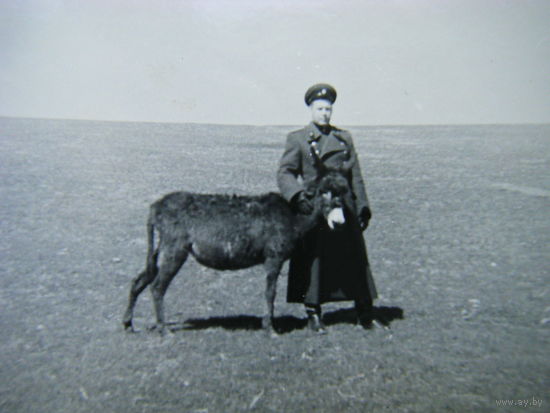 Офицер РККА захвативший в плен Монголататарскую лошадь.