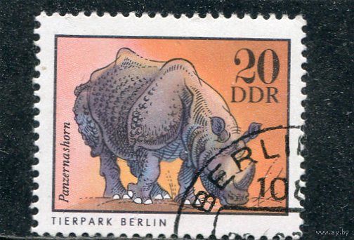 ГДР. Зоопарк. Индийский носорог