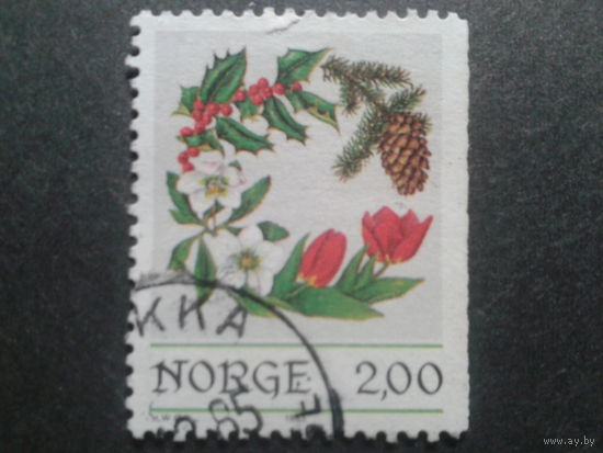 Норвегия 1985 Рождество