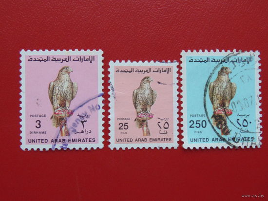 Обьединённые Арабские Эмираты. Птицы