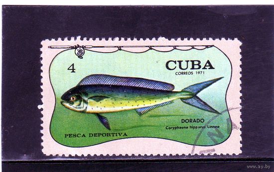 Куба.Ми-1724. Дорада (Coryphaena hippurus). Серия: Спортивная рыбалка. 1971.