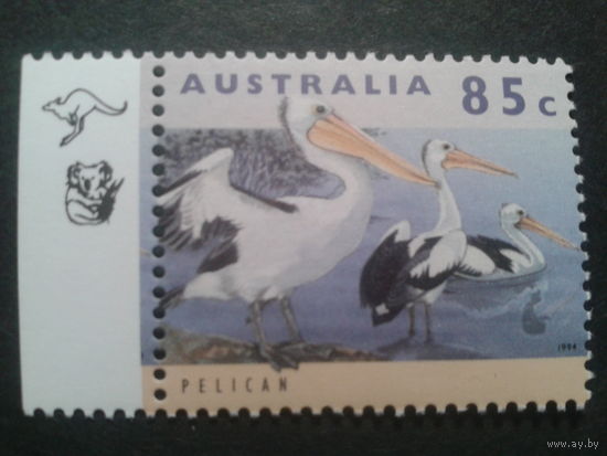 Австралия. 1994 пеликаны