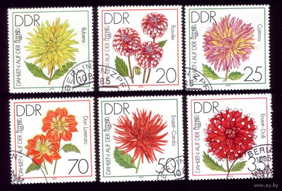 6 марок 1979 год ГДР Цветы 2435-2440