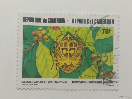 Камерун 1987. Вредные насекомые