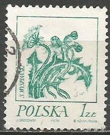 Польша. Цветочные рисунки С.Выспянского. Тараксакум лекарственный. 1974г. Mi#2297.