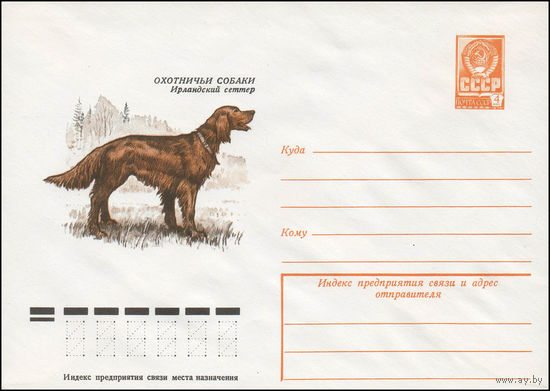 Художественный маркированный конверт СССР N 13068 (12.09.1978) Охотничьи собаки  Ирландский сеттер