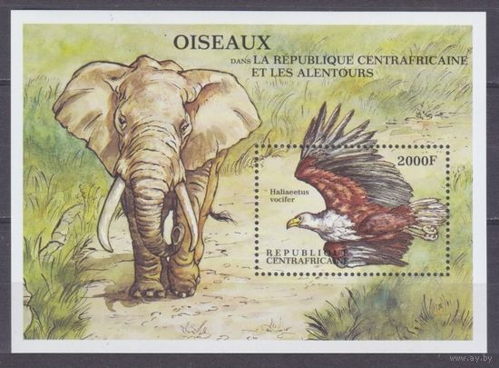2000 Центральноафриканская Республика 2461/B640 Хищные птицы 9,00 евро