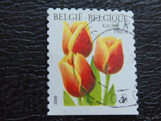 Бельгия 2000 г. Флора.