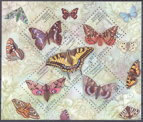 Украина фауна бабочки
