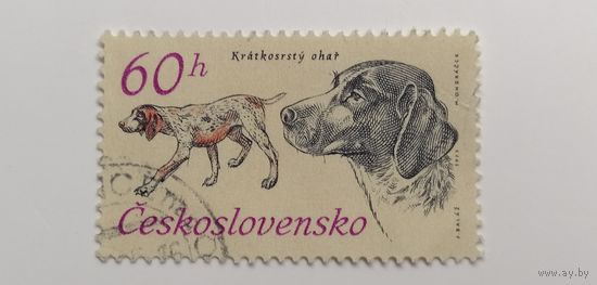 Чехословакия 1973. 50-летие чехословацкой охотничьей организации - Охотничьи собаки