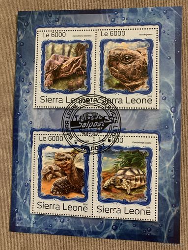 Сьерра-Леоне 2016. Черепахи. Малый лист