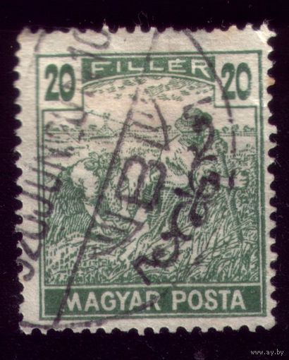 1 марка 1920 год Венгрия 315