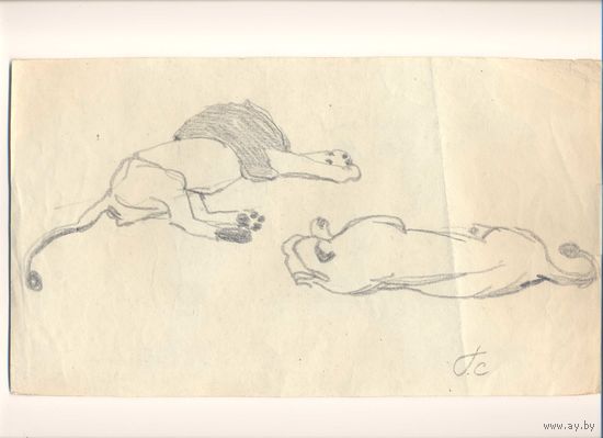 Г. Скрипниченко бумага рисунок карандаш старая работа до 1970