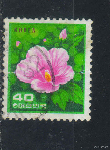 Корея Респ 1981 Флора Роза Cтандарт #1250